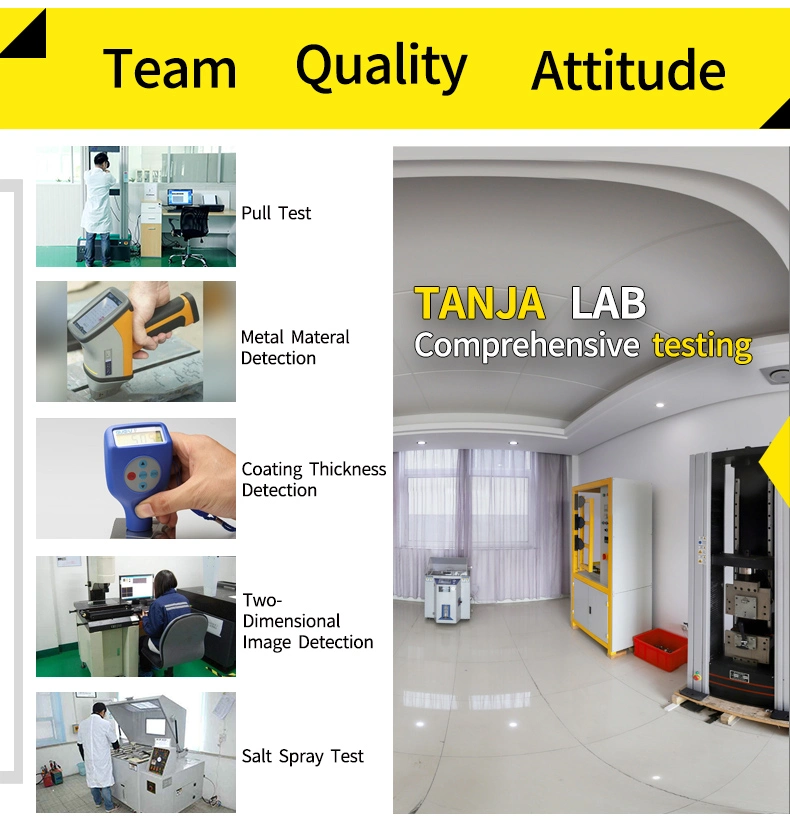 Tanja T89 Handle for Marine Industrial Plastic Handles Knob Door Clamping Lever Handle